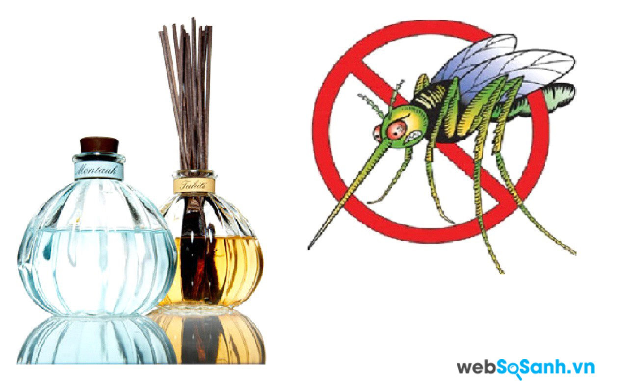 Máy xông muỗi sẽ xông các tinh dầu có tác dụng chống muỗi hiệu quả với hương thơm dễ chịu