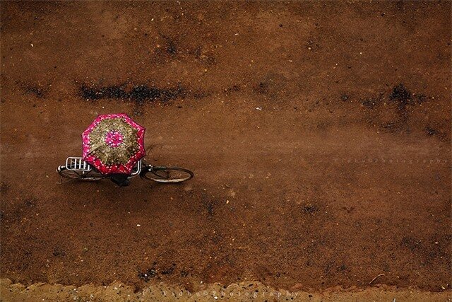 Umbrella and bicycle 