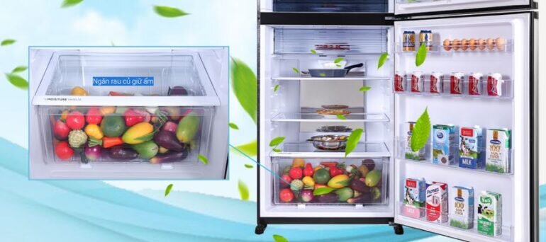 Có nên mua tủ lạnh Sharp SJ-XP620PG-BK cho gia đình không?