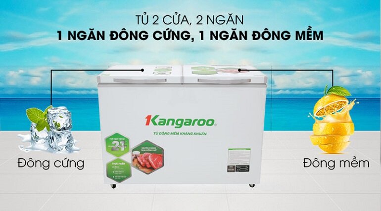 Tủ đông Kangaroo giá bao nhiêu? Báo giá tủ đông Kangaroo mới nhất