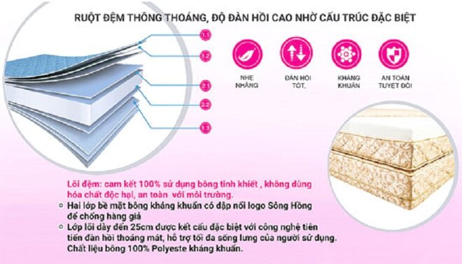 đệm Sông Hồng