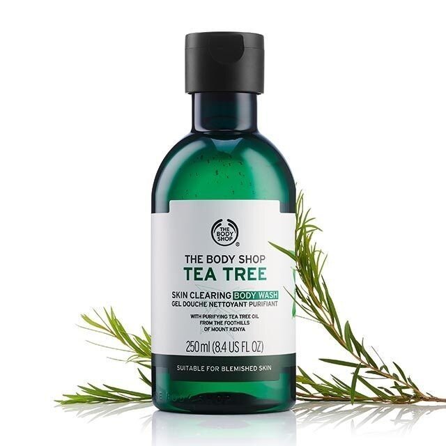 Sữa tắm trị mụn lưng từ nhà The Body Shop – Tea Tree Body Wash