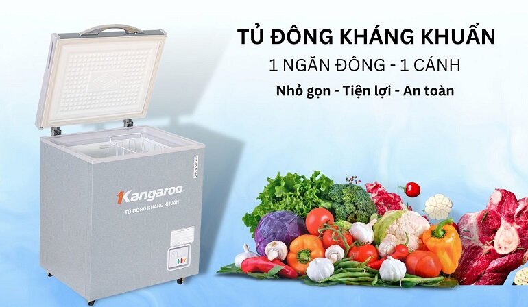 Các loại tủ đông 