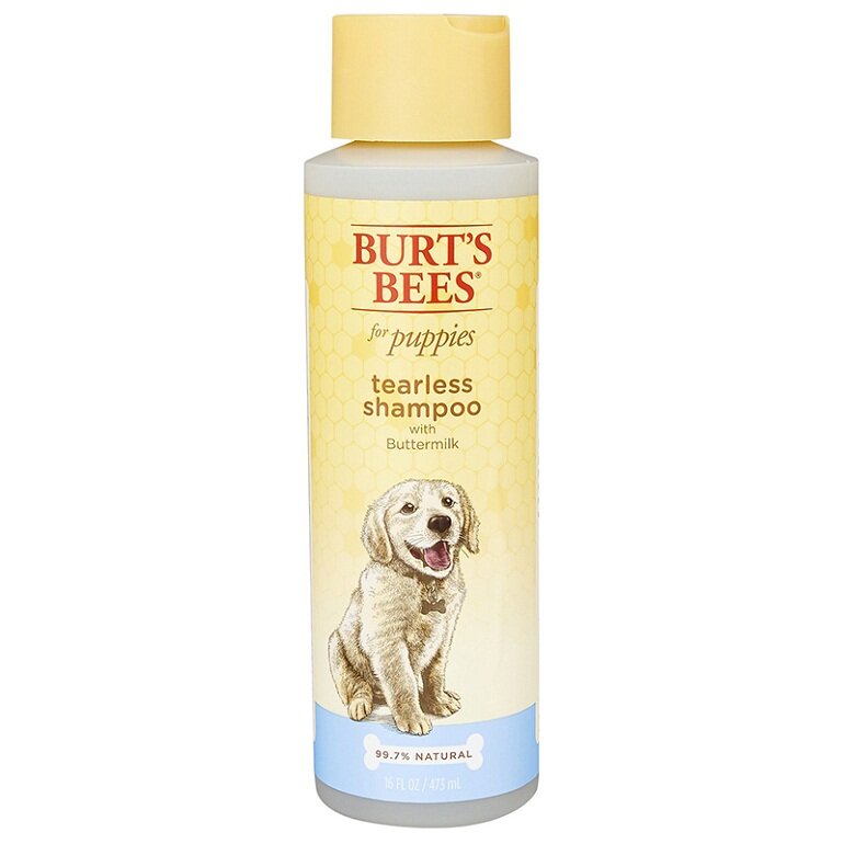 Sữa tắm cho chó Phốc Sóc -  Burt’s Bees