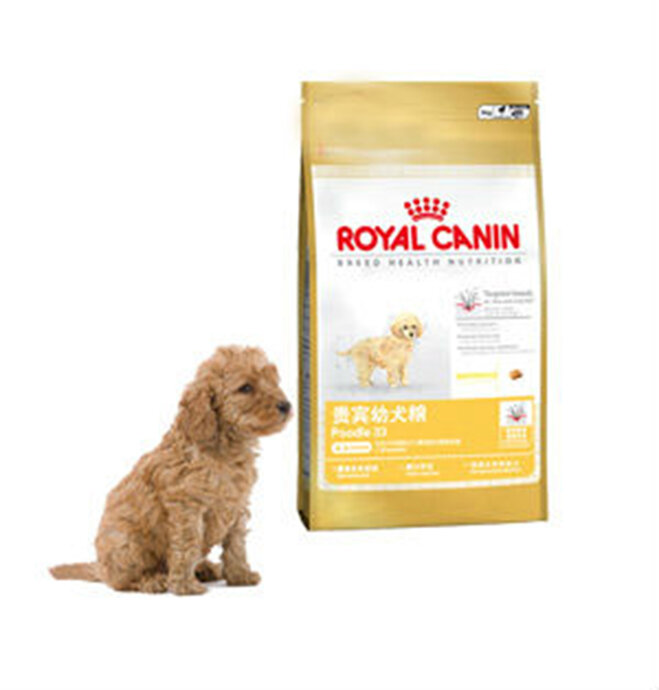 Tìm hiểu về thức ăn royal canin poodle Puppy cho chó Poodle con