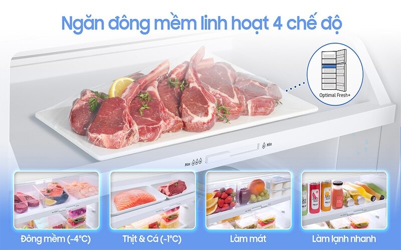 Ngăn đông mềm Optimal Fresh+ của Samsung Inverter 406 lít RT42CB6784C3SV