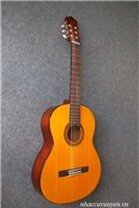 Đàn Guitar Classic Yamaha CG-101A