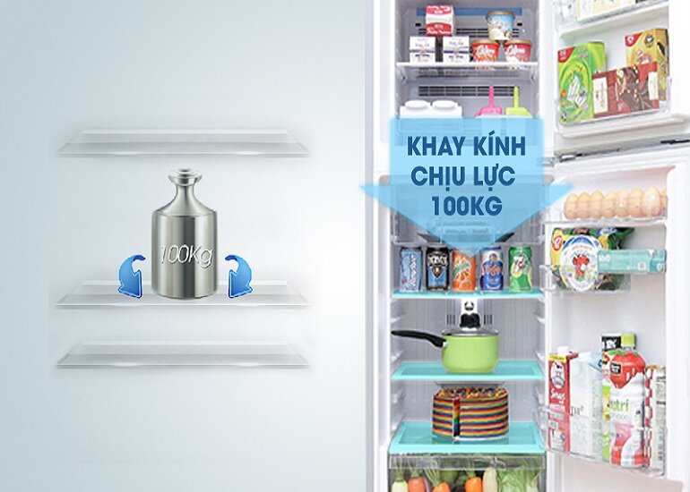 Giới thiệu top 3 tủ lạnh Hitachi giá rẻ đáng mua nhất