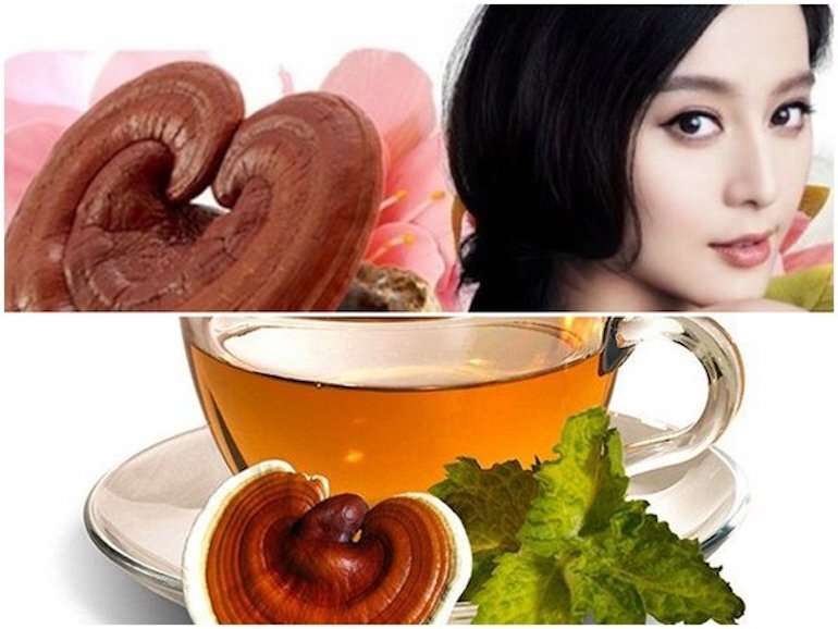 10 Tác dụng của trà linh chi Hàn Quốc với sức khỏe và làm đẹp - Bep360.net