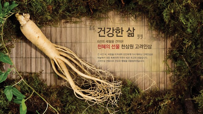 Sâm Daedong Korea Ginseng luôn mang đến sự yên tâm và tin tưởng cho mọi người dùng