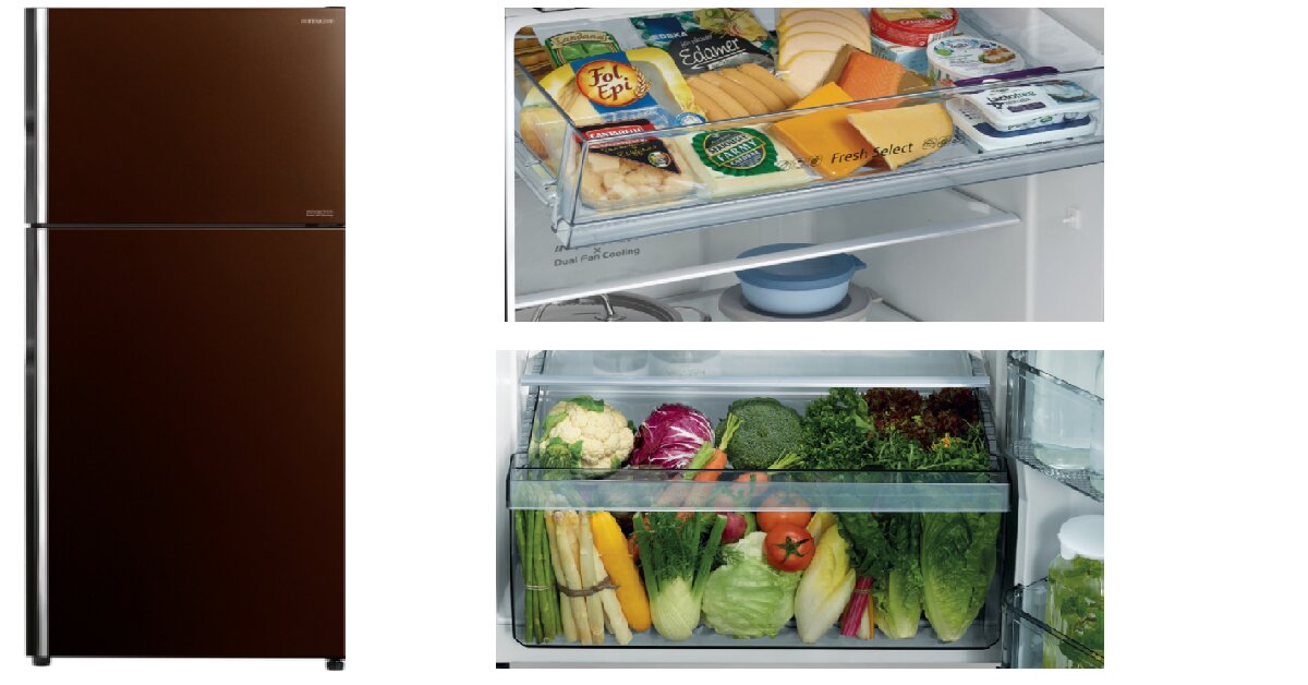 5 điều quan trọng cần biết trước khi mua tủ lạnh Hitachi FG450PGV8 (GBW) - 339L