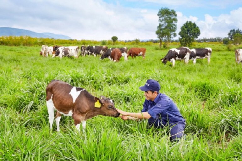 Sữa tươi Organic Vinamilk