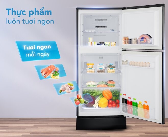 Tủ lạnh Funiki 120 lít FR-125CI.1 lựa chọn lý tưởng dành cho gia đình ít người