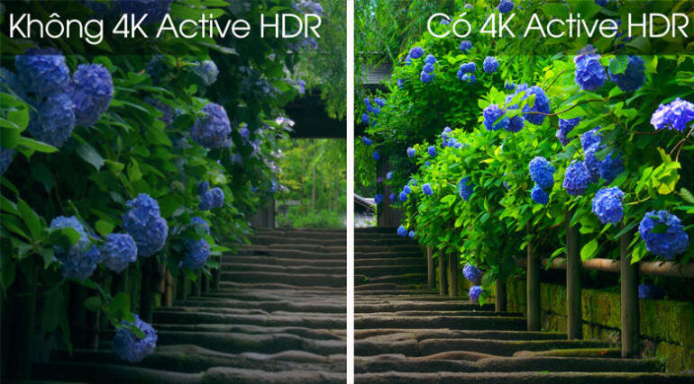 Hiển thị hình ảnh trên Smart Tivi LED LG 43 inch 43UM7600PTA, 4K UHD bằng 4K Active HDR