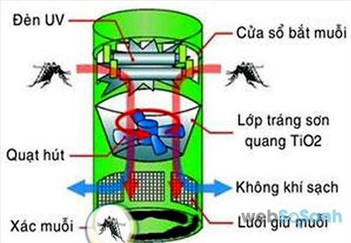 Cấu tạo và nguyên tắc hoạt động của đèn bắt muỗi quạt hút