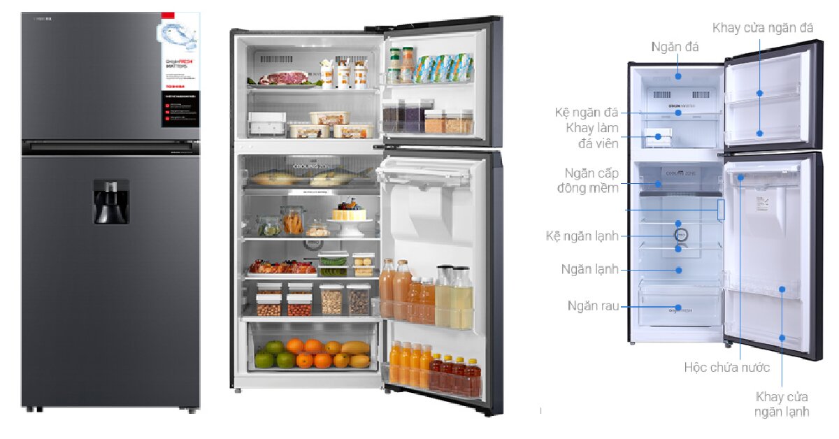 Phân tích ưu nhược điểm của tủ lạnh Toshiba Inverter 311 lít GR-RT395WE-PMV(06)-MG