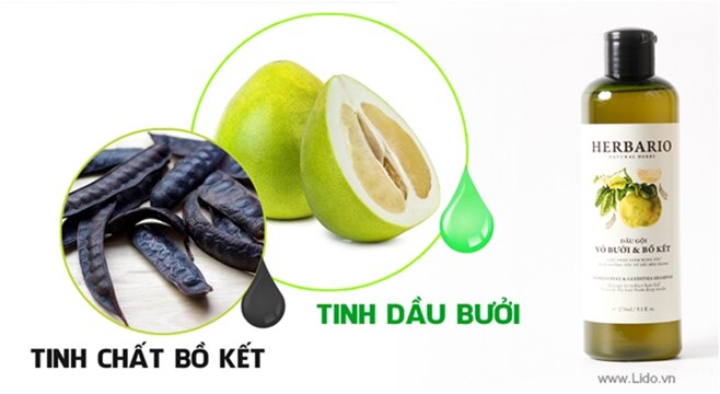 viên mọc tóc strong hair và dầu gội bưởi & bồ kết herbario