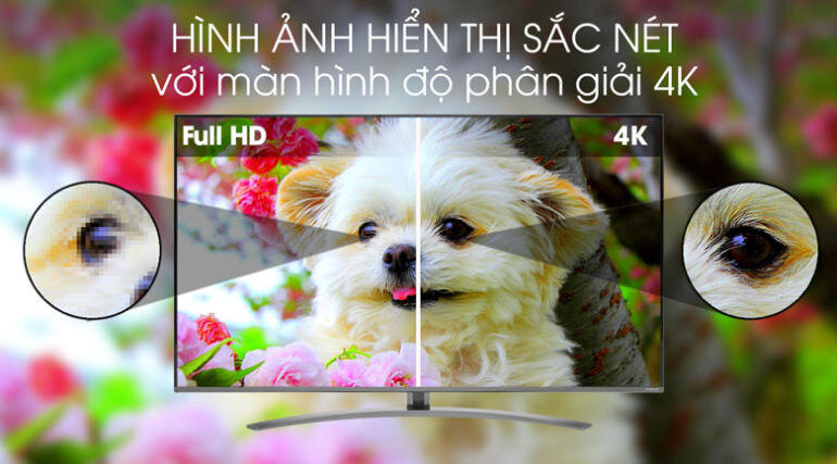 Độ phân giải 4K mang đến chất lượng hình ảnh gấp 4 lần Full HD