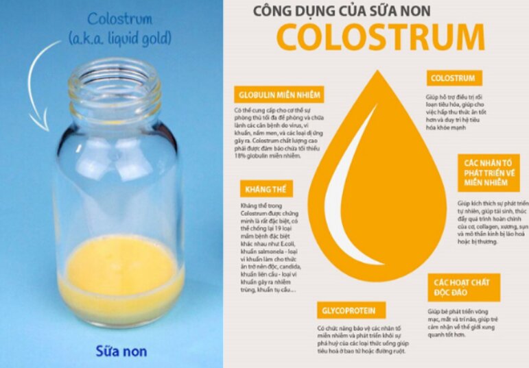 Các tác dụng quan trọng nhất của sữa non Colostrum