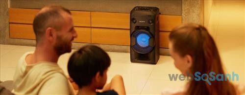 Sony Onebox Speaker MHC - V11