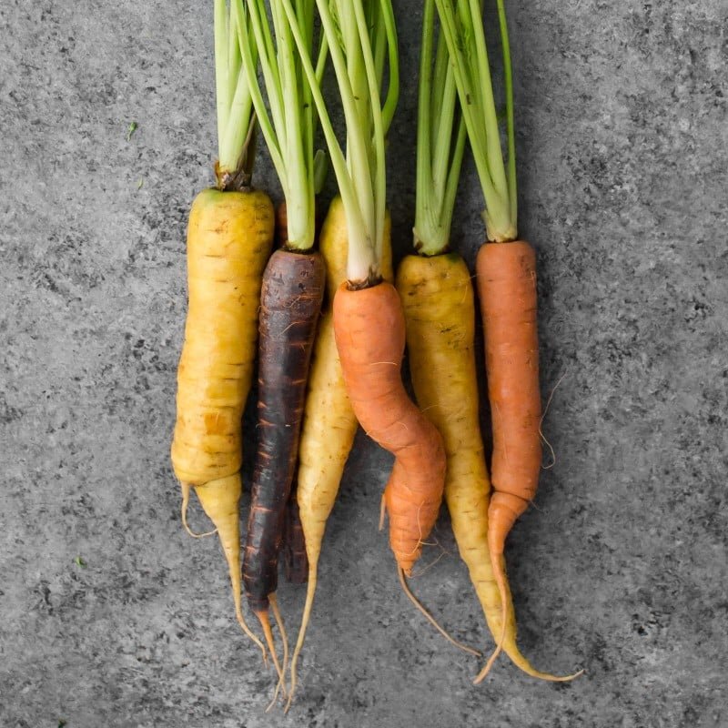 The nutritional composition of carrots contains Beta-carotene