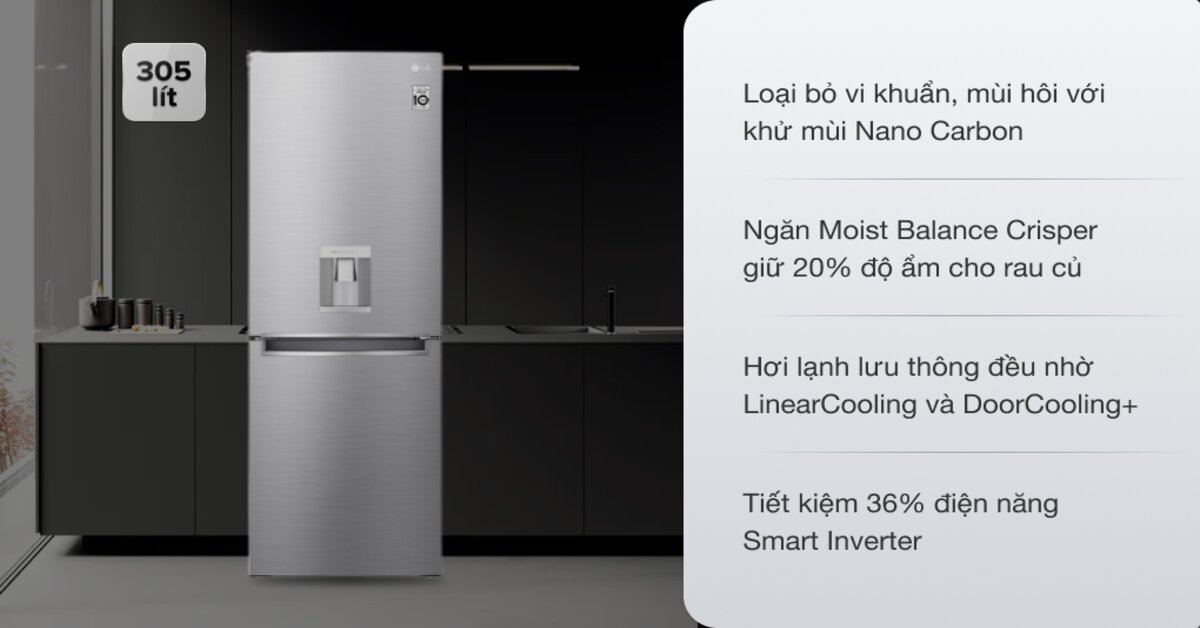 Tủ lạnh LG GR-D305PS