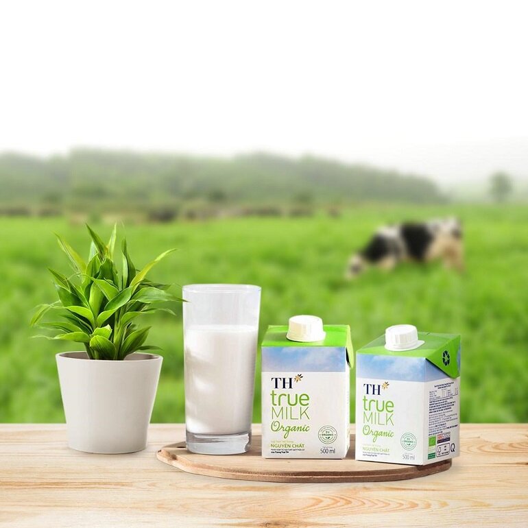 Sữa tươi TH Organic