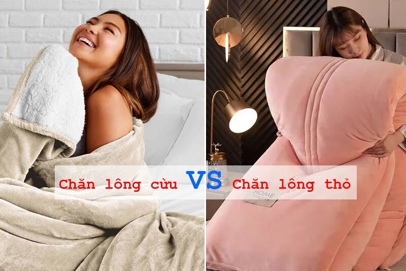 Chăn lông cừu hay chăn lông thỏ chăn tốt hơn