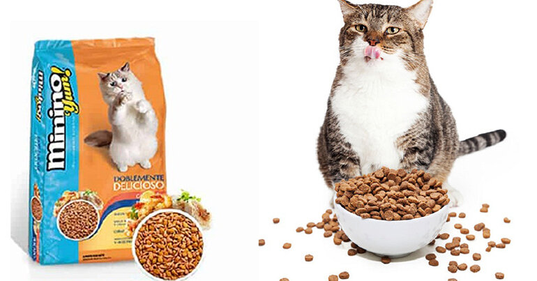 Minino Yum cat food