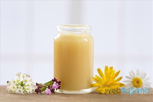 Sữa ong chúa có rất nhiều tác dụng đối với sức khỏe và vẻ đẹp của con người 