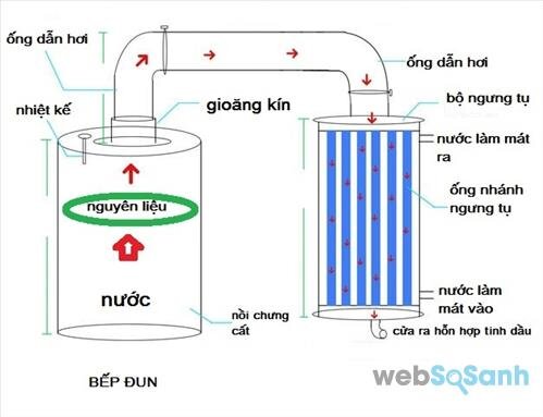 Quy trình chưng cất tinh dầu sả nguyên chất