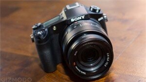 The Best Camera for Every Parent