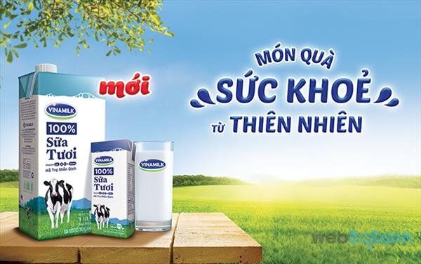 sữa bột Vinamilk