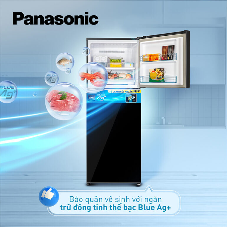 Tủ lạnh Panasonic 2 cánh là lựa chọn phổ biến của hầu hết mọi người tiêu dùng thu nhập thấp