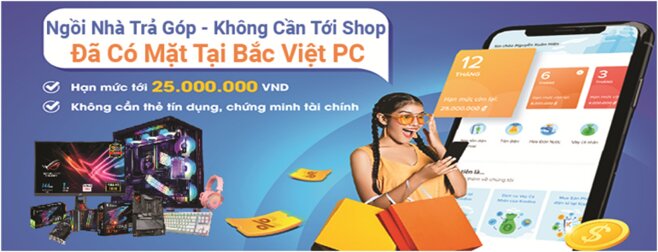 Bắc Việt PC