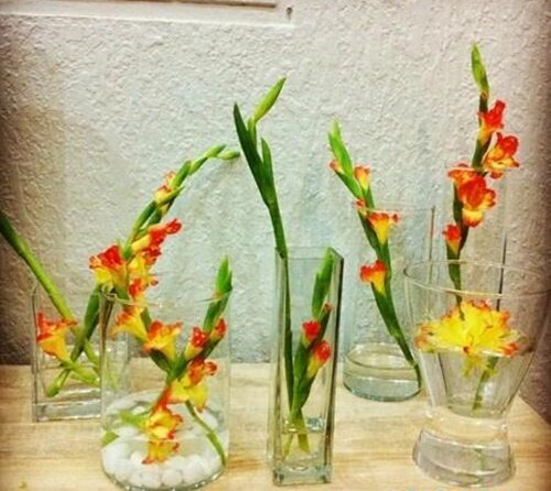 Tết đến, bạn đã biết cách cắm hoa lay ơn để trang hoàng cho ngôi nhà của mình chưa? Hãy bấm vào ảnh để xem hướng dẫn chi tiết và trang trí cho một mùa xuân sung túc và đầy màu sắc nhé!