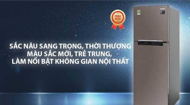 Tủ lạnh Samsung Inverter 236 lít RT22M4032DX/SV