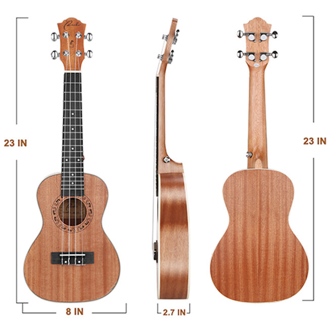 Những ưu điểm nổi bật của đàn Ukulele Concert