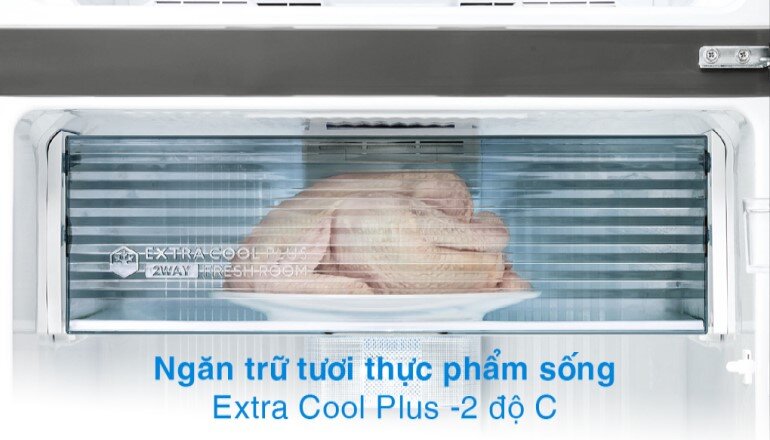 Ngăn Extra Cool Plus -2℃ là giải pháp lưu trữ thực phẩm sống tươi mới trong thời gian dài