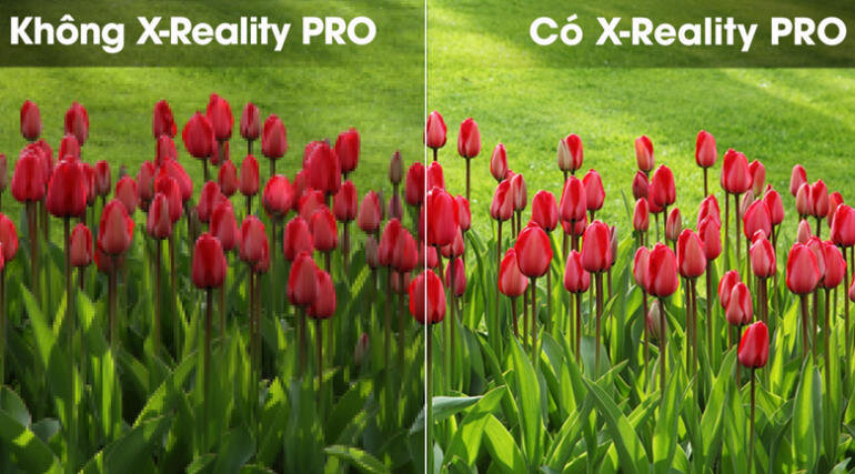 Công nghệ giảm nhiễu và tăng cường chi tiết hình ảnh X-Reality Pro