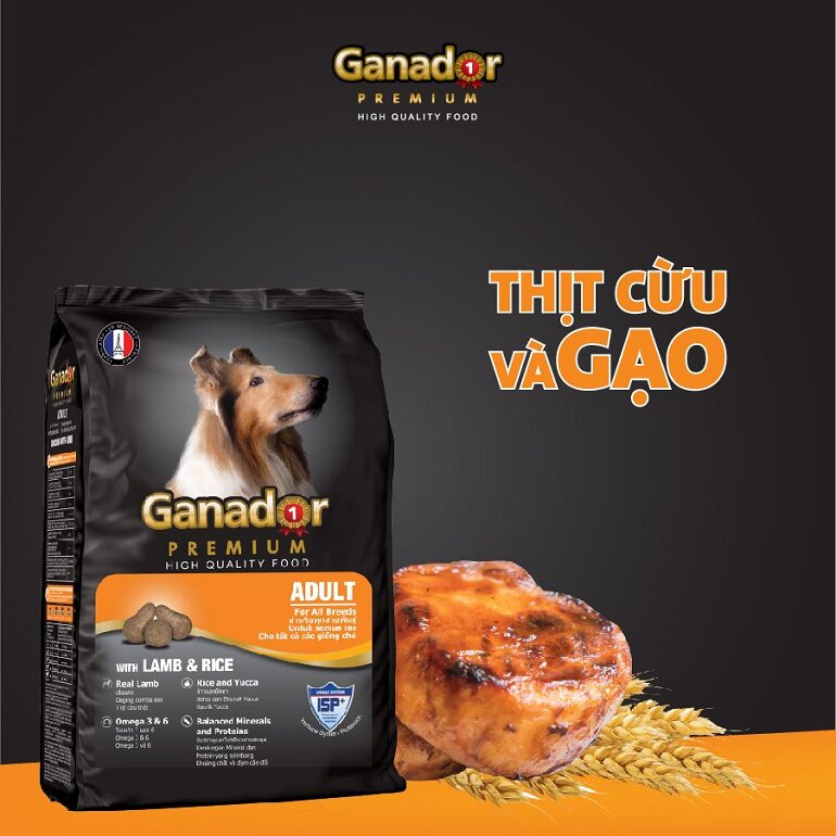 Ganador dry dog ​​food