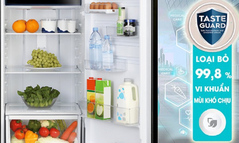 Khám phá 6 điểm cộng có trên tủ lạnh Electrolux ESE6600A-AVN