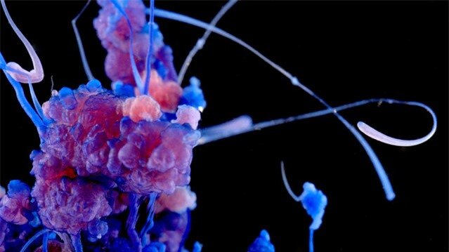 Cobalt chloride crystals growing in a solution of sodium silicate. (Photo by Yan Liang/Caters News)