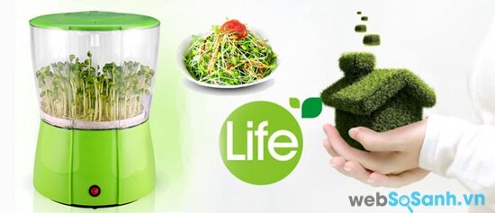 GreenLife GL611 (nguồn: internet)