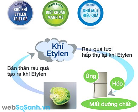  Công nghệ khử mùi Hybrid Plasma (nguồn: internet)