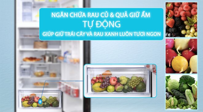 Tủ lạnh Electrolux Inverter 341L ETB3760K-H giup rau, củ quả luôn tươi ngon như lúc mới mua