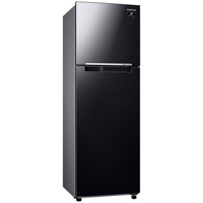 Tủ lạnh Samsung Inverter 256 lít RT25M4032BU/SV