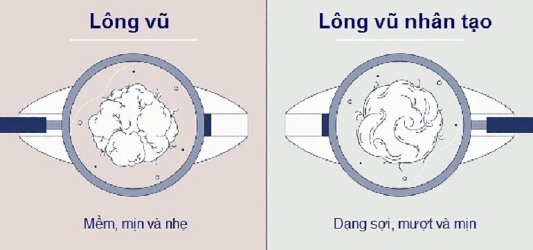 Gối lông vũ