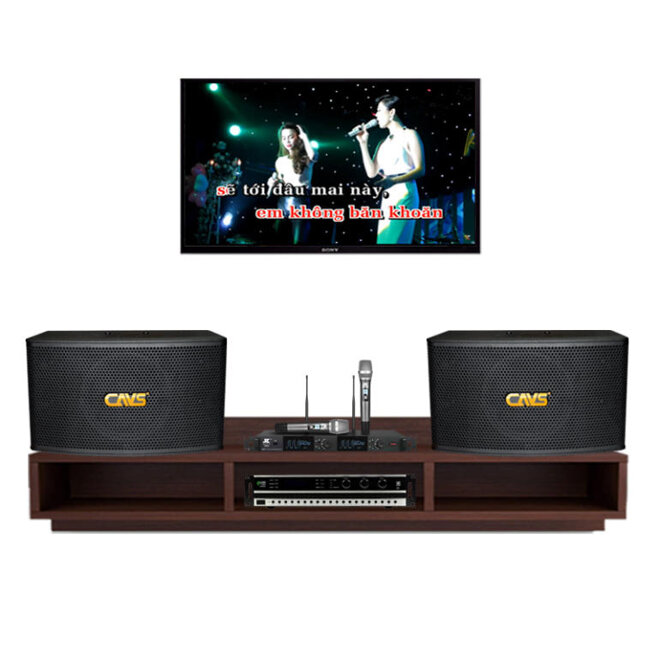 dàn âm thanh karaoke gia đình dưới 15 triệu đồng