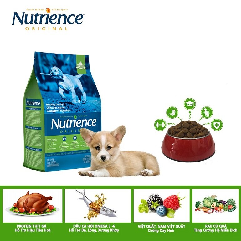 Thức ăn khô cho chó con Nutrience